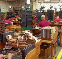 Cigars being made in factory