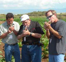 Cigars being lit in field